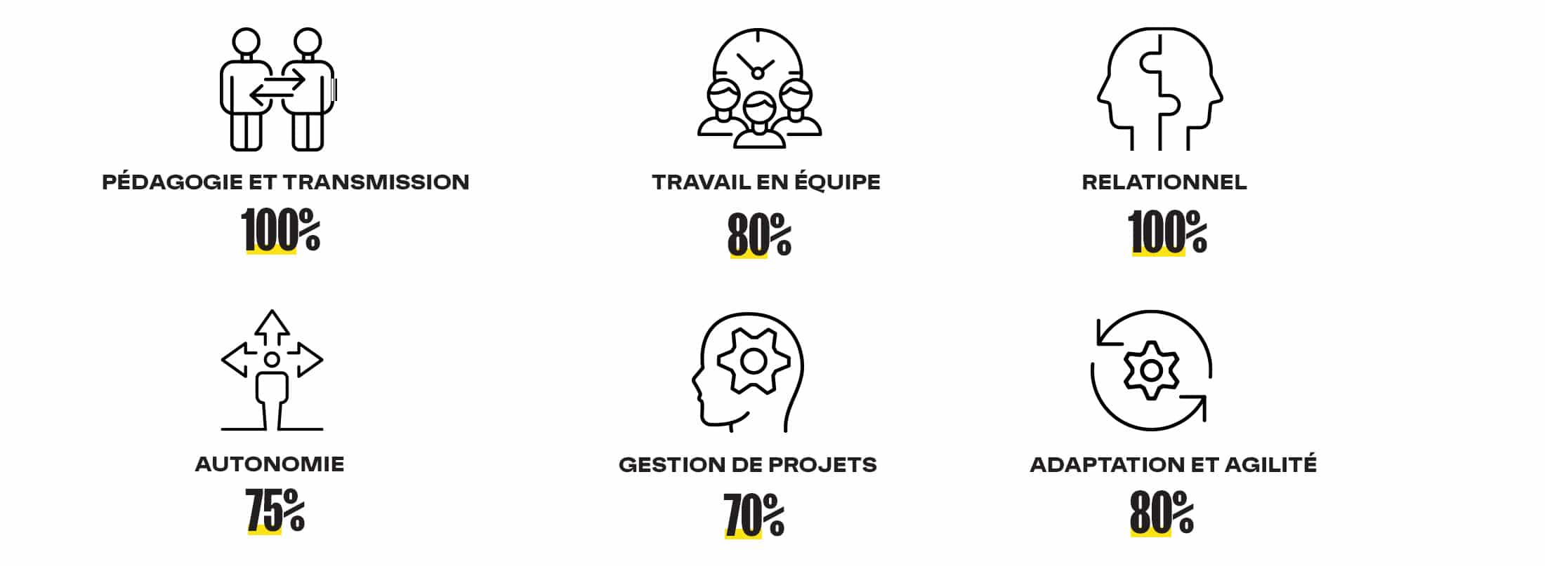 Pédagogie et transmission: 100%
Travail en équipe : 80 %
Relationnel : 100%
Autonomie : 75%
Gestion de projet : 70%
Adaptation & agilité : 80% 