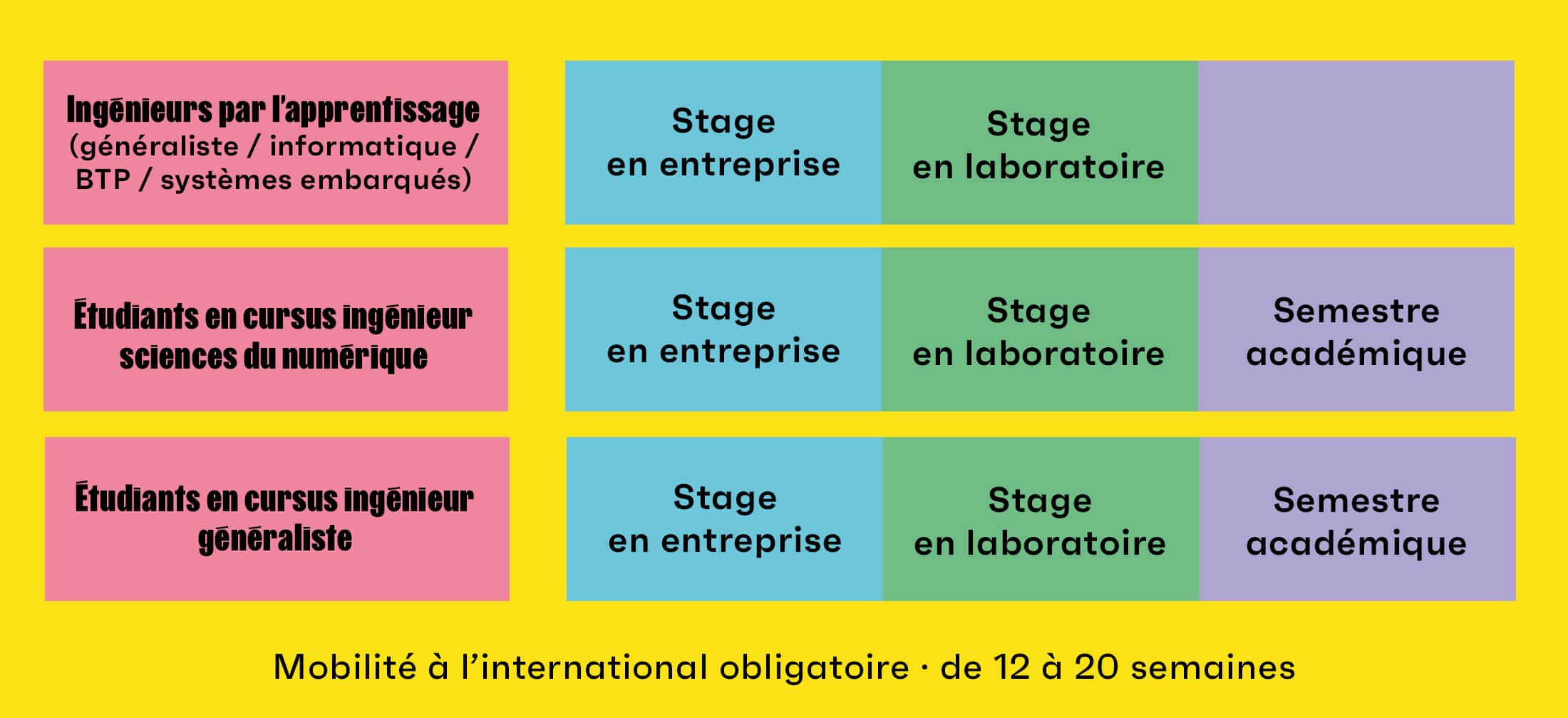 ingénieurs par l'apprentissage (généraliste, informatique, BTP, systèmes embarqués) : stage en entreprise, stage en laboratoire.
étudiants en cursus ingénieur sciences du numérique : stage en entreprise, stage en laboratoire, stage académique.
etudiants en cursus ingénieur généraliste : stage en entreprise, stage en laboratoire, stage académique.
mobilité à l'international obligatoire de 12 à 20 semaines