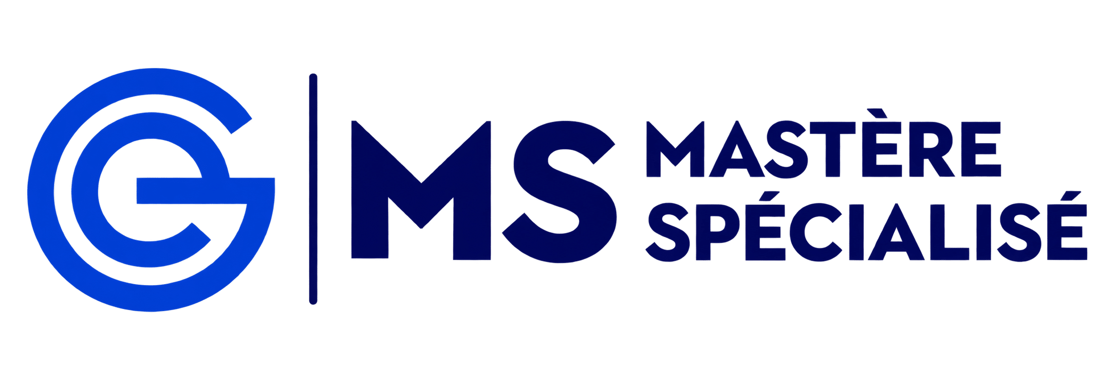 Mastère spécialisé